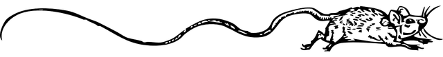Ilustrace myši